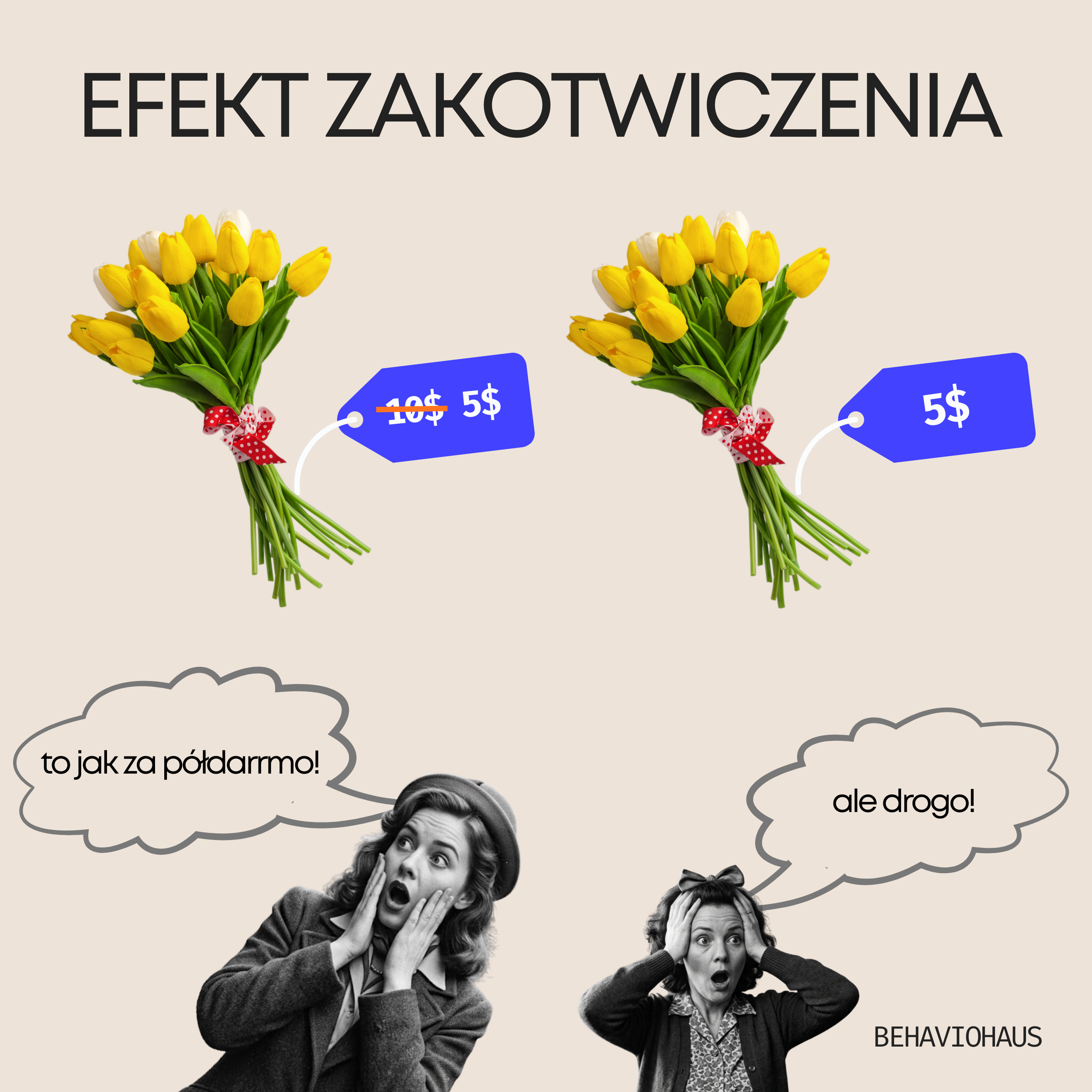 Efekt zakotwiczenia w praktyce – dwa identyczne bukiety tulipanów: jeden z ceną 10$ przekreśloną i 5$ obok (wydaje się okazją), drugi po prostu 5$ (wydaje się drogi)